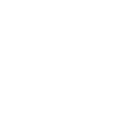 Digital Media Technologies